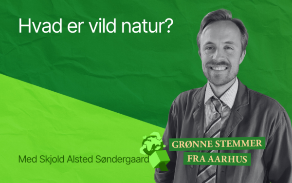 Hvad er vild natur?